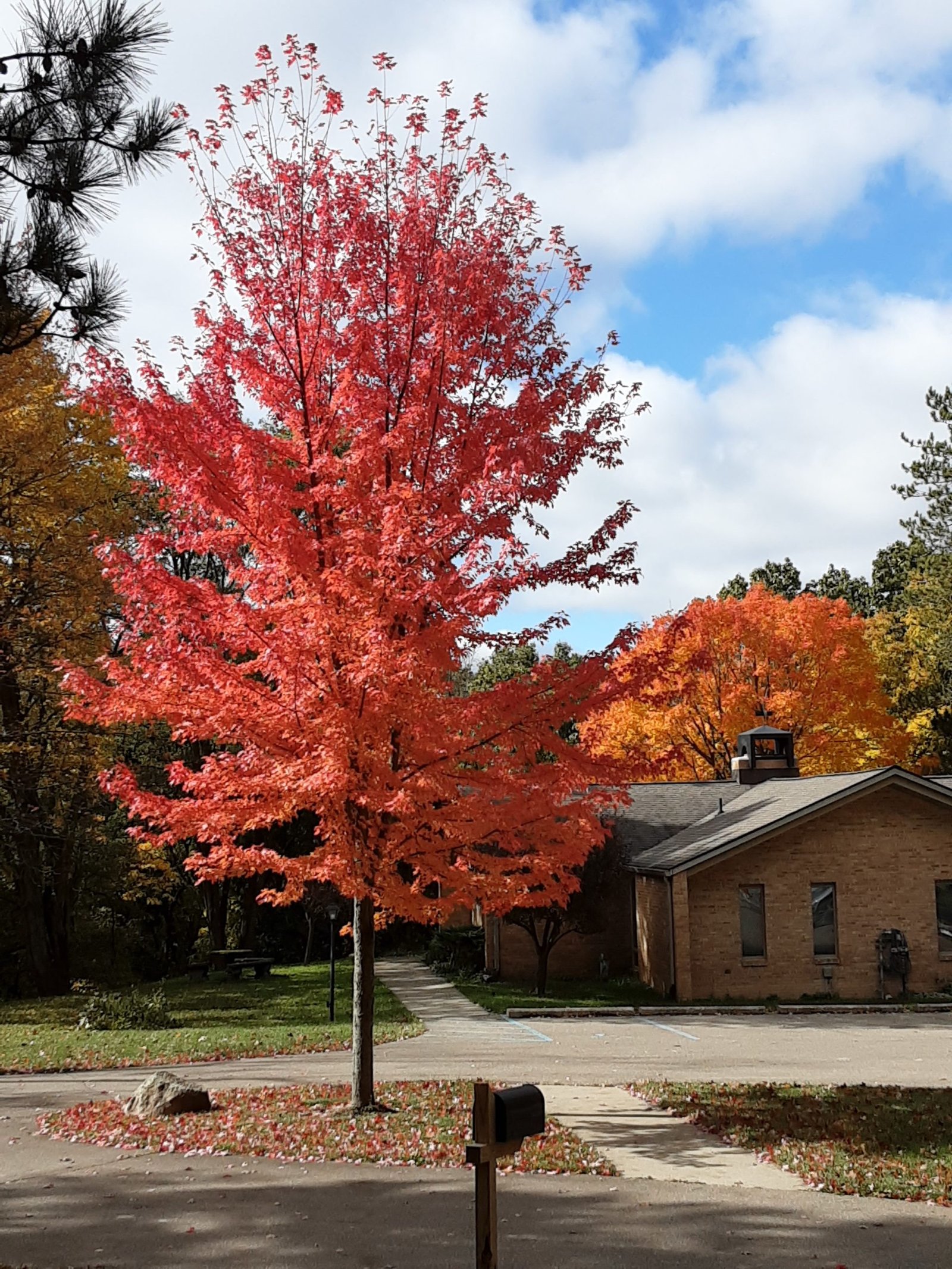 Home Saint Augustine S House